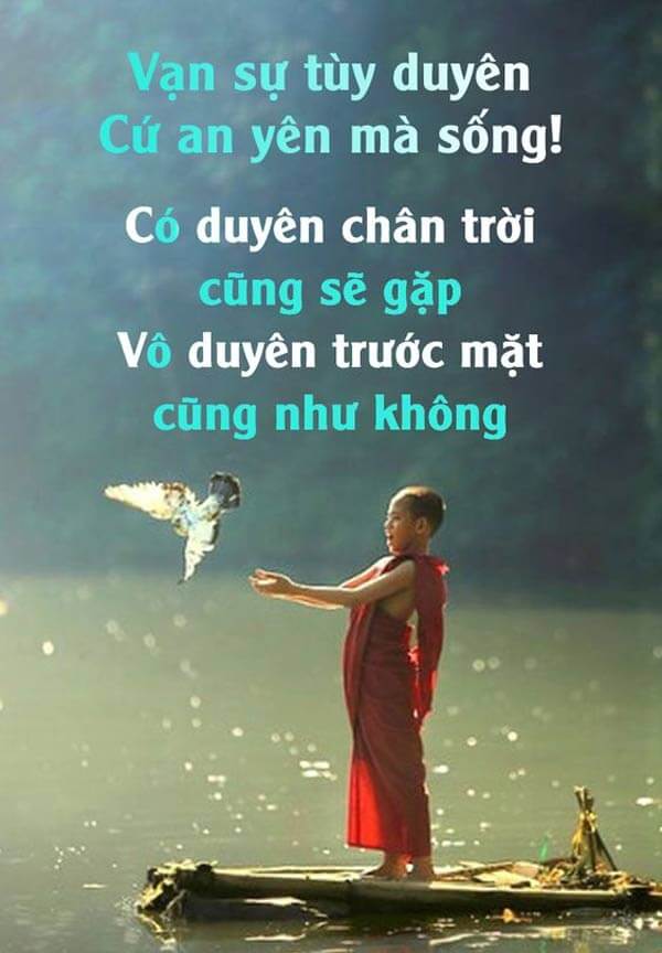 vạn sự tùy duyên nghĩa là gì