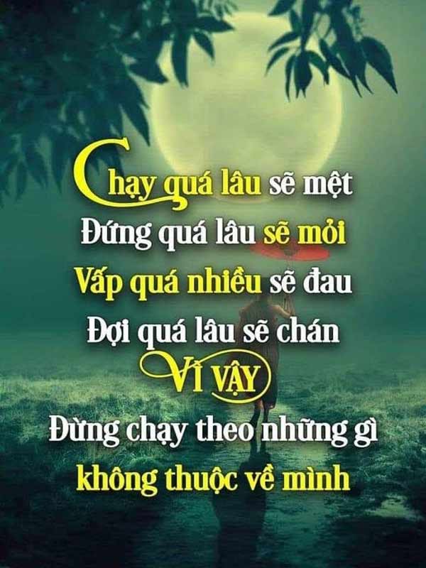 vạn sự tùy duyên là gì