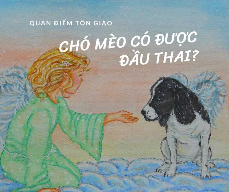 linh hồn của chó sau khi chết