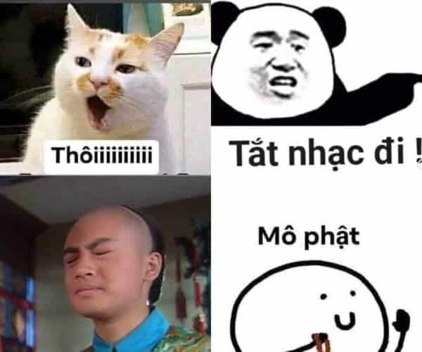 mô phật meme