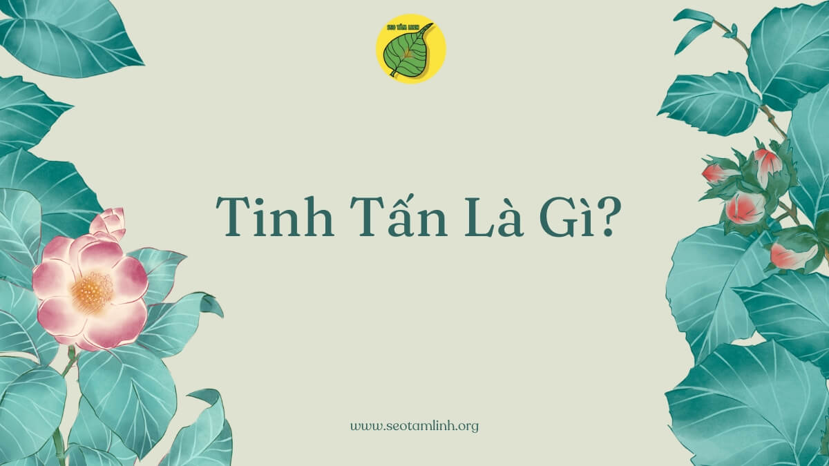 tinh tấn là gì